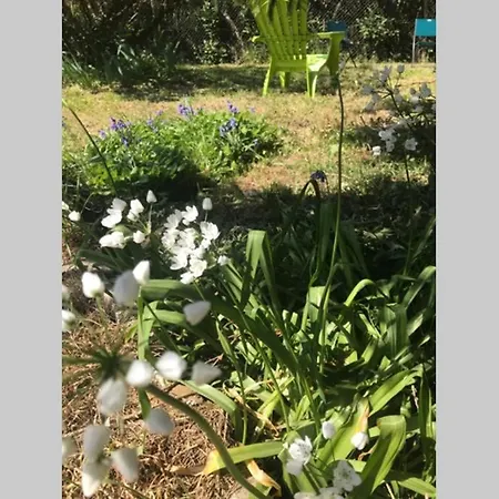 Maison Avec Jardin Dans Village Holiday home *