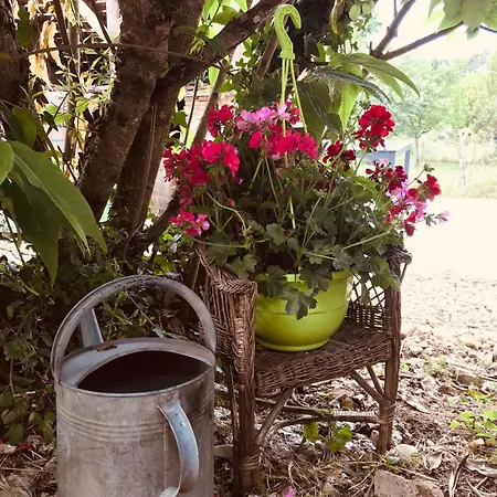 Maison Avec Jardin Dans Village