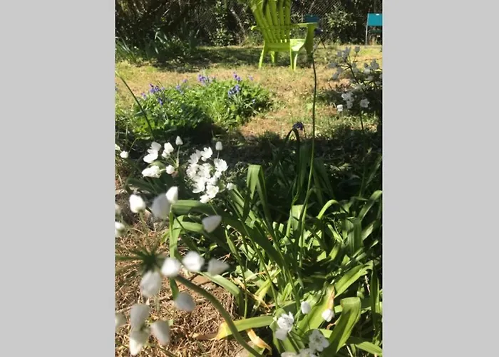 Maison Avec Jardin Dans Village Nyaraló *