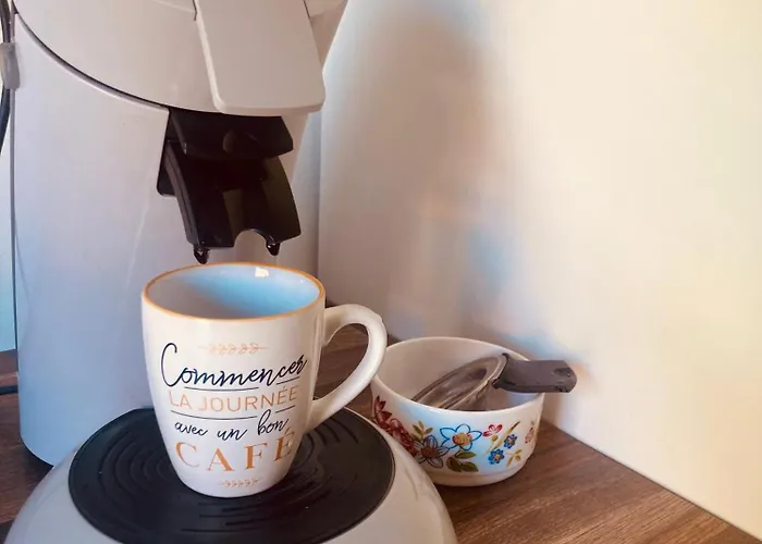 Maison Avec Jardin Dans Village Reaup